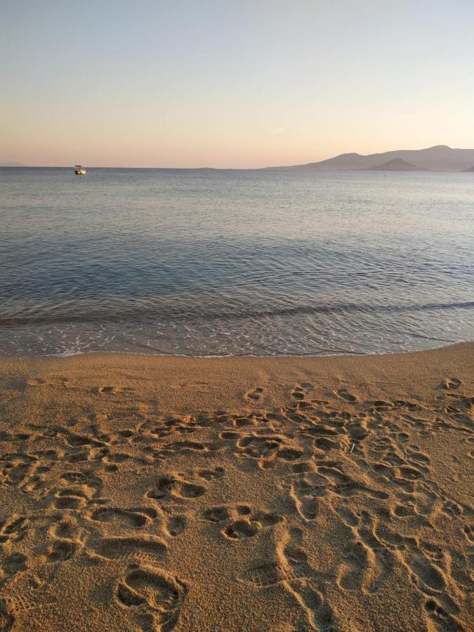 Vitzileos Studios Agios Prokopios (Naxos) Exterior foto
